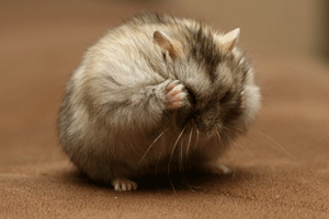 Foto behorend bij blog