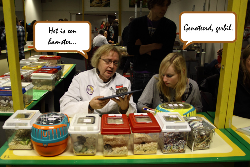 Foto behorend bij blog