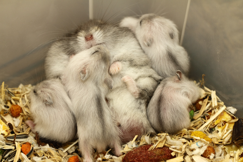 Foto behorend bij blog