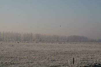 Winter december 2007