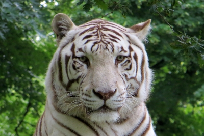 Oudehands Dierenpark