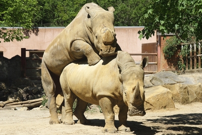 Osnabrück Zoo
