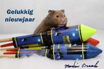 Gelukkig nieuwjaarfoto 2010