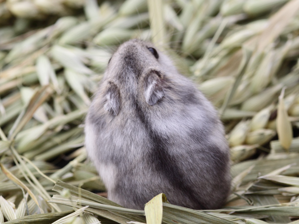 Foto behorend bij blog