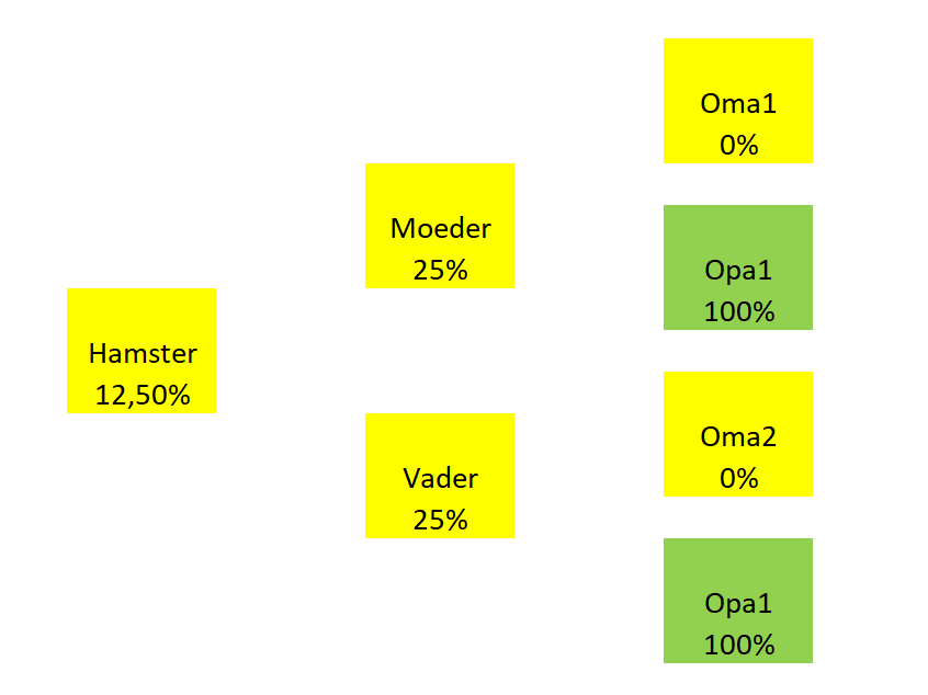 Foto behorend bij blog