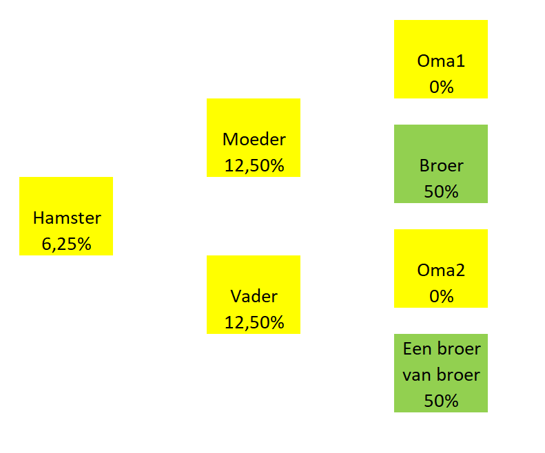 Foto behorend bij blog