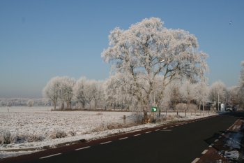 Dag ervoor was het mistig geweest en daardoor zit aan de bomen rijp