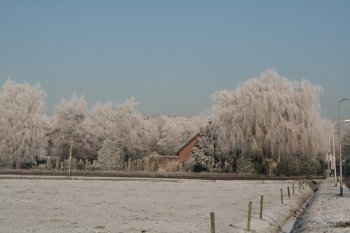 Winter 2009