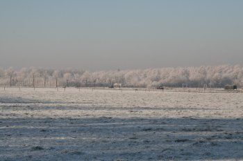 Winter 2009