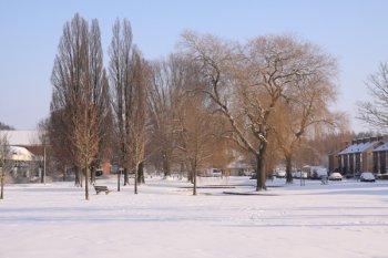 Winter januari 2010