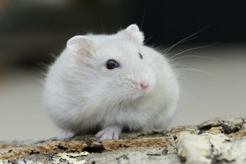 Foto 2018-Wowfotos/20181104-beige02.jpg