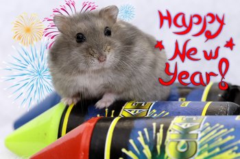 Foto 2018-Wowfotos/20181231-HappyNewYear.jpg