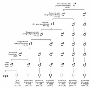 Foto 2020-Wowfotos/Inteeltcoefficient-overzicht.jpg