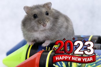 Foto 2022-Wowfotos/20221231-HappyNewYear1.jpg