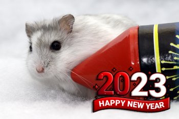 Foto 2022-Wowfotos/20221231-HappyNewYear2.jpg