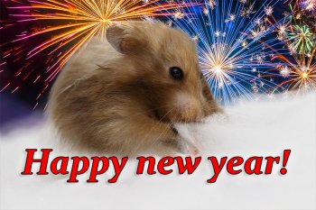 Foto SyrischeHamsters2015/20151231-happynewyear3.jpg