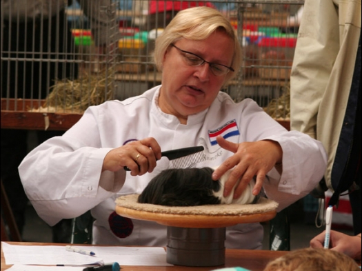 Knagerfestijn, gehouden op 2 september 2006 Keurmeester Anneke Vermeulen