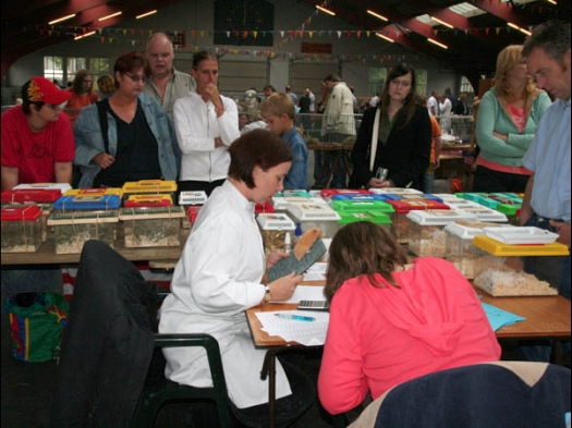 Knagerfestijn, gehouden op 2 september 2006 Keuring