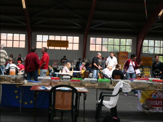 Knagerfestijn, gehouden op 2 september 2006 Het was er behoorlijk druk!