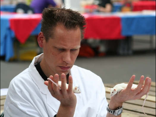 Knagerfestijn, gehouden op 2 september 2006 Keurmeester Henry van Raaij, zorgvuldig kijkt hij welke kleurmuis de beste is