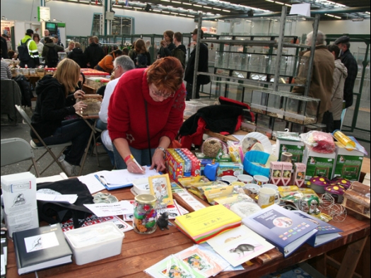 Dit zijn foto's die ik op het evenement Exoknaag heb gemaakt. Op de foto's kan je zien dat door de vereniging N.M.C. ook een keuring georganiseerd wordt. De foto's staan ook op de website van N.M.C. www.KleineKnaagdieren.nl.
