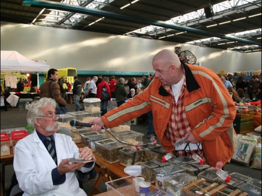 Dit zijn foto's die ik op het evenement Exoknaag heb gemaakt. Op de foto's kan je zien dat door de vereniging N.M.C. ook een keuring georganiseerd wordt. De foto's staan ook op de website van N.M.C. www.KleineKnaagdieren.nl.
