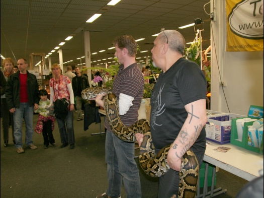 Exoknaag 2008 Tegelijk was er ook een reptielenbeurs