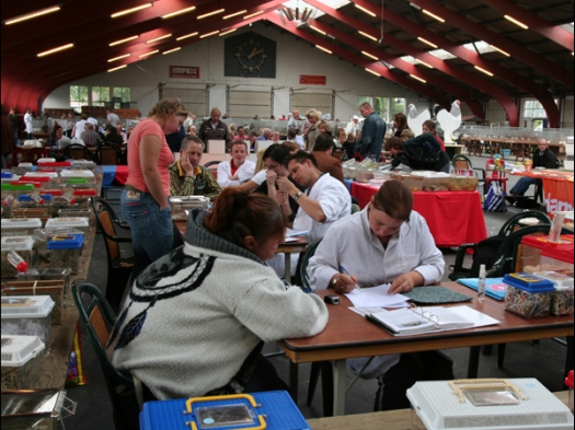 Dit zijn foto's gemaakt tijdens het evenement Knagerfestijn 2008.
