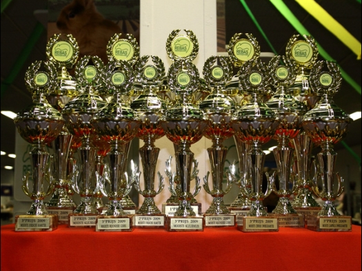 Dit zijn foto's gemaakt op Rebas Trofee, gehouden op Exoknaag 5 april 2009.
