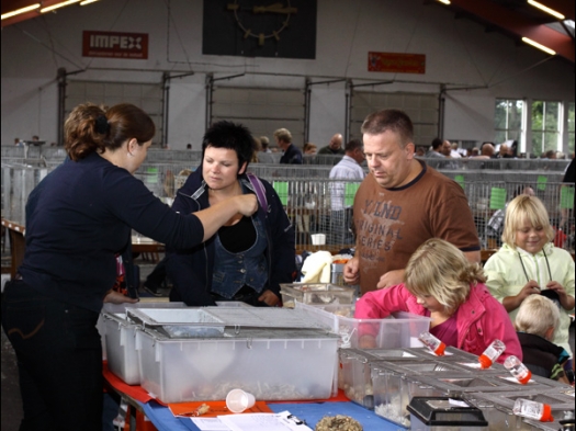 Dit zijn foto's gemaakt op de 15e Knagerfestijn.