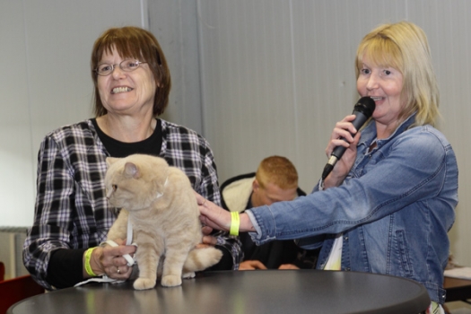 Dit zijn foto's gemaakt op de derde editie van Rebas Trofee, gehouden op 3 april 2011.