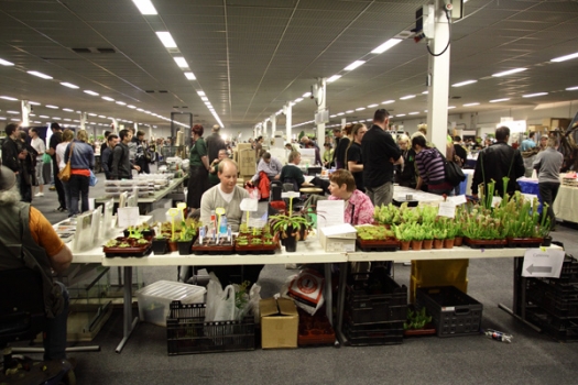 Dit zijn foto's gemaakt op de derde editie van Rebas Trofee, gehouden op 3 april 2011.