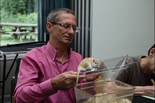 Dit zijn foto's gemaakt op de N.M.C. Clubdag gehouden op 11 juni 2011. Eerst heeft Rolf een toedracht gehouden over de chinchilla, daarna Alice over gerbils. Daarna is er een kleine leukenkeuring geweest die erg leerzaam was. Er waren Rusjes waarvan de oogspieren zichtbaar waren, waarschijnlijk erger dan anders omdat er heel veel licht was. Ook was een Syrische hamster met een te lage oorstand.