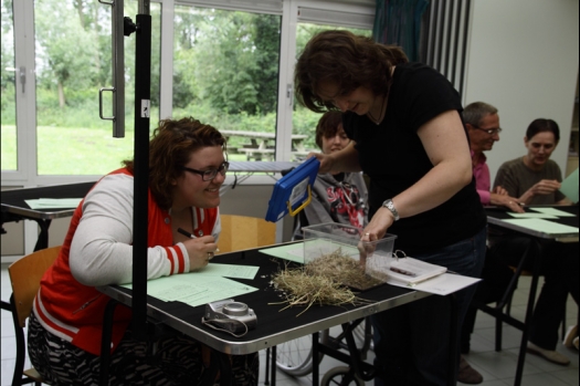 Dit zijn foto's gemaakt op de N.M.C. Clubdag gehouden op 11 juni 2011. Eerst heeft Rolf een toedracht gehouden over de chinchilla, daarna Alice over gerbils. Daarna is er een kleine leukenkeuring geweest die erg leerzaam was. Er waren Rusjes waarvan de oogspieren zichtbaar waren, waarschijnlijk erger dan anders omdat er heel veel licht was. Ook was een Syrische hamster met een te lage oorstand.