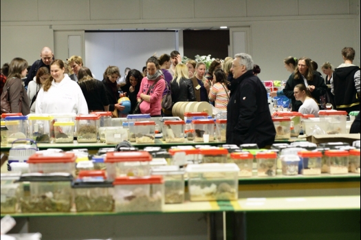 Dit zijn foto's gemaakt op de derde N.K.V. Bokaal, gehouden op 13 april 2014. Er waren bijna 400 knaagdieren ingeschreven.
