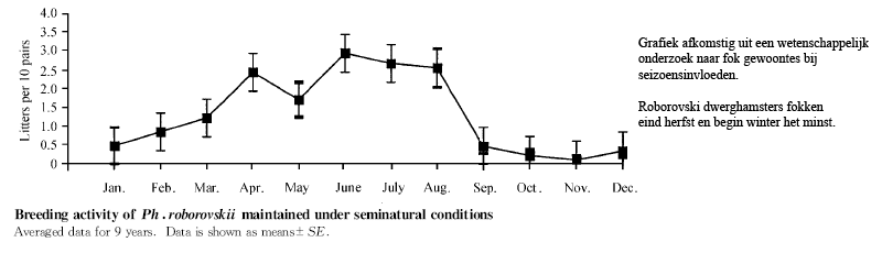 Grafiek fokgedrag Roborovski dwerghamster
