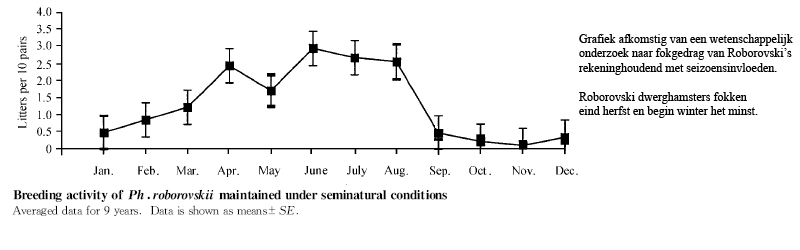 Roborovski dwerghamster fokgedrag grafiek