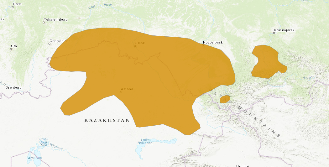 Kaart waar de Russische dwerghamster voorkomt