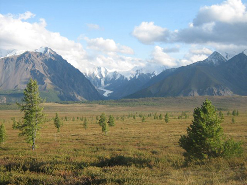 Gebied Altai